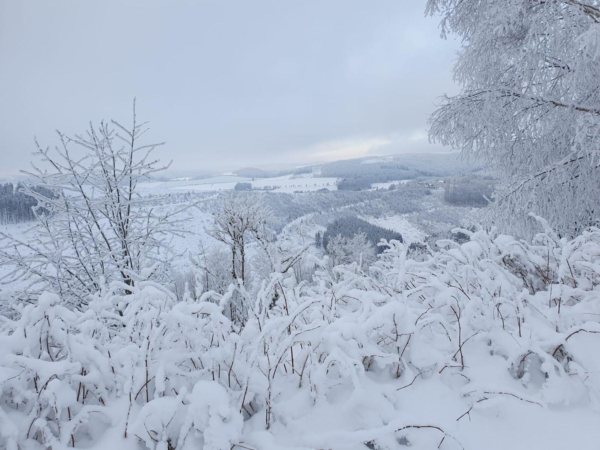 Pension Hubertus Winterberg Zewnętrze zdjęcie